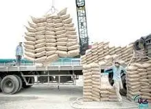 گرانی سیمان به قطعی برق و گاز ربط دارد؟
