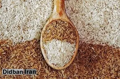 برنج سفید و قهوه‌ای؛ کدام بهتر است؟