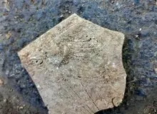 خروج اسکلت انسانی از دل خاک در عملیات عمرانی اداره برق اصفهان 