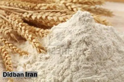 تاکید وزارت کشاورزی بر استاندارد بودن آرد نانوایی ها
