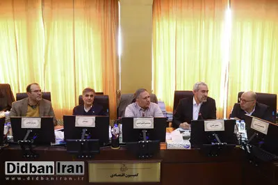 حضور مدنی زاده و فرزین در جلسه امروز کمیسیون اقتصادی مجلس