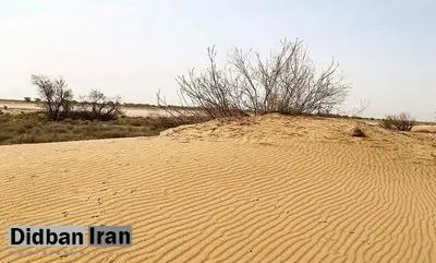 معاون سازمان منابع طبیعی خبر داد: افزایش ۲.۵ میلیون هکتاری بیابان‌های کشور در دهه اخیر