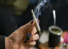 تریاک گران و قیمت  شیشه ۴۹ درصد ارزان شد/ مشتریان «گُل» بیشتر از گذشته شده است 