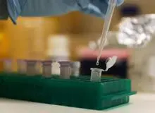 ابداع ارگانیسم زنده با استفاده از دی.ان.ای مصنوعی