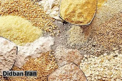  معطلی ترخیص نهاده‌های دامی در بنادر کشور به علت نبود تخصیص ارز