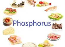 فسفر فراوان ترین ماده معدنی بدن