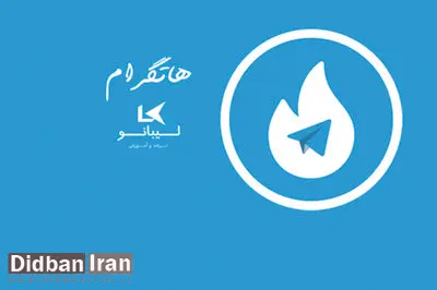 معاون مرکز ملی فضای مجازی: به هاتگرام و طلاگرام خودمان فرصت کار دادیم
