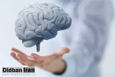 تقویت عملکرد مغز با مصرف این میوه‌ها