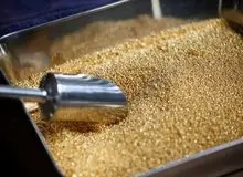  چرا اونس طلای جهانی رکورد زد؟