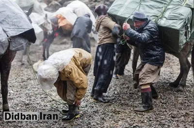 مدیرکل امور مرزی کشور: «بیمه کولبران» منتفی‌ است/ هیچ کولبری در مرزهای رسمی کشته نشده است