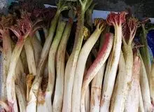 کبد خود را با این گیاه ترش مزه پاکسازی کنید