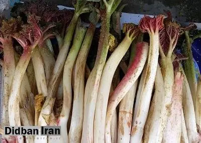 کبد خود را با این گیاه ترش مزه پاکسازی کنید