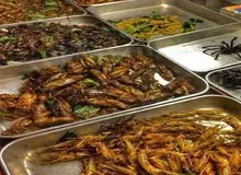 چرا چینی ها همه چیز خوار شدند؟/ خفاش، موش، سوسک، سگ و قورباغه غذای مورد علاقه چینی ها 