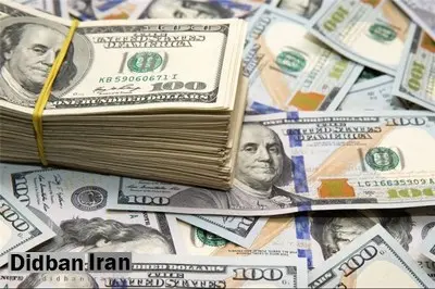 اسامی و مشخصات ۲۰ شرکتی که یک میلیارد یورو ارز دولتی در آنها گم شد+ جزییات