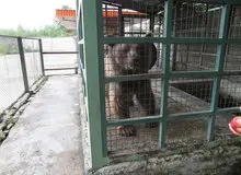 مجوز باغ‌وحش بابلسر تعلیق شد