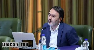 پیرهادی، عضو شورای شهر تهران: برخی مسئولین مثل شلمان میمانند، انگار خوابشان میبرد بعد بیدار میشوند میگویند هوا آلوده شده