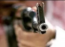  قاتل خانواده ۴ نفره بازداشت شد