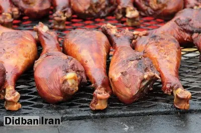 اگر دایناسورها هنوز زنده بودند، می‌توانستیم گوشتشان را بخوریم؟