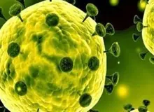 رییس بخش عفونی بیمارستان مسیح دانشوری: هر علامت تنفسی، مطمئنا کروناست