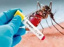 دانشگاه علوم پزشکی شیراز: وضعیت تب دانگی در فارس نگران کننده است / ۲فوتی ثبت شد