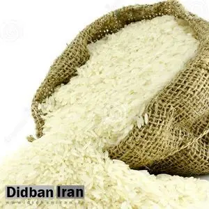 کاهش تعرفه واردات، قاچاق برنج را کاهش داد