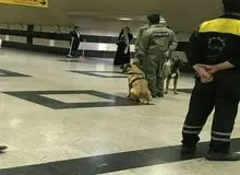 علت حضور ماموران یگان‌ ویژه ناجا در نقاط مرکزی تهران + جزئیات
