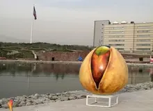 سازمان پسته در کشور راه‌اندازی می‌شود؟
