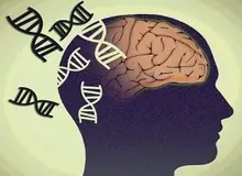 ابتلا به آلزایمر با مصرف شیرینی‌جات