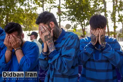 شناسایی باند سرقت محدوده خیابان ولیعصر؛ «با تخریب در خانه یک کیلو طلا دزدیدند»