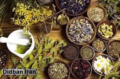 ۸ گیاه دارویی مفید برای کاهش فشار خون