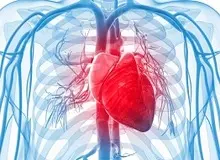  کاهش سن مبتلایان به بیماری قلبی