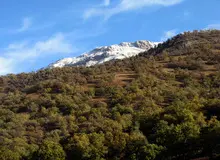 جان‌پناه عیسی