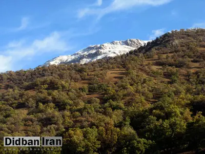 جان‌پناه عیسی