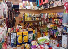 توضیح پلیس امنیت درباره پلمب چند «پت شاپ» در تهران
