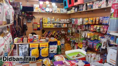 توضیح پلیس امنیت درباره پلمب چند «پت شاپ» در تهران