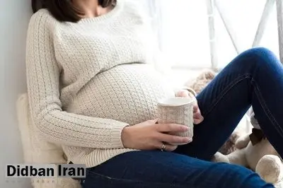 یافته های دانشگاه کلرادو بولدر درباره عوامل موثر در باهوش شدن فرزندان