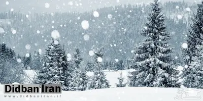 ببینید: چالش تامین سوخت برای مازندران و خراسان رضوی+ فیلم