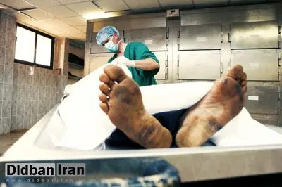 کشف دو تکه از بدن یک مرد در سطل زباله خیابان خزانه تهران+جزییات