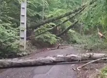 افزایش آمار حمله قاچاقچیان به نیروهای جنگلبانی/ تعداد نیروهای یگان حفاظت منابع طبیعی۱۴ درصد استانداردهای جهانی است/ ناتوانی سازمان منابع طبیعی در دفاع از نیروهای خود 