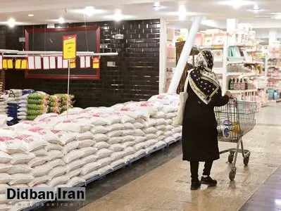 برنج ایرانی ۱۲۷ درصد و برنج خارجی ۳۴.۵ درصد در یکسال گران شد