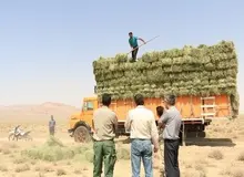 عجیب‎ترین نذر یک خیر ایرانی