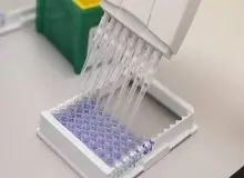 ابراز امیدواری WHO برای آماده شدن واکسن کرونا تا خاتمه 2020