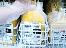 پلاسما فروشی در حاشیه تهران