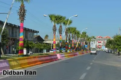 ایده شهردار بندر ترکمن برای نجات درختان به مغازهداران: «مواظب درختان باشید، عوارض ندهید!»