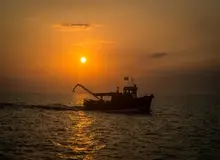 آب‌تنی در خزر ممنوع شد