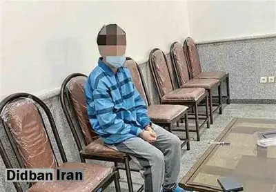 ارگان اطلاع رسانی وابسته به سپاه: اغتشاشگر خارج‌نشین حین ورود به ایران‌ دستگیر شد