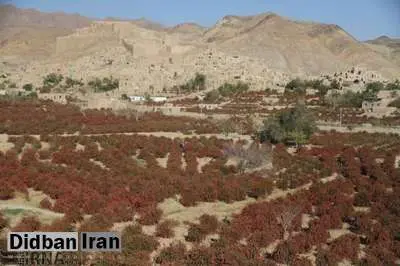 ادامه کاهش دما و احتمال یخبندان در خراسان جنوبی