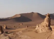 ماجرای کشف گونه‌ای جدید درکویر اسرارآمیز لوت