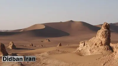 ماجرای کشف گونهای جدید درکویر اسرارآمیز لوت