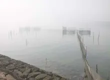رطوبت در آبادان و خرمشهر به ۱۰۰ درصد رسید